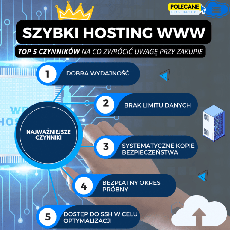 szybki hosting kluczowe czynniki rankingowe infografika 1024x1024 1