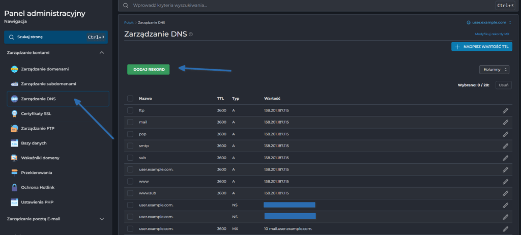 Widok panelu DirectAdmin podczas edycji rekordów DNS domeny