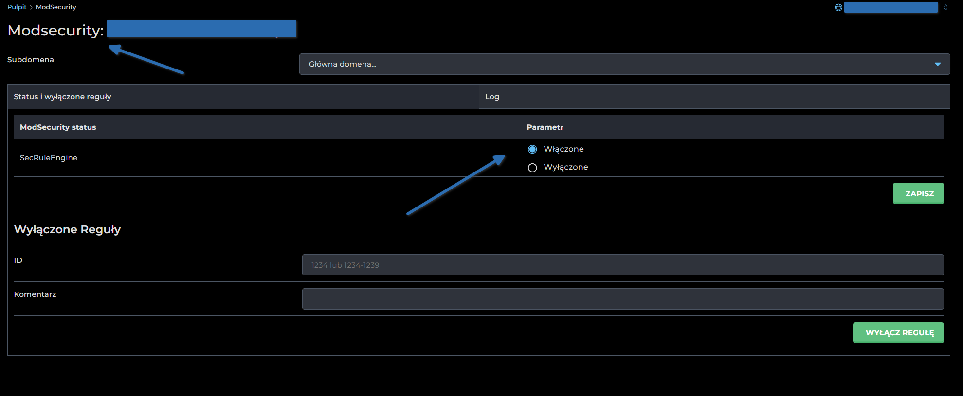 Ustawienia zabezpieczeń ModSecurity w panelu DirectAdmin.