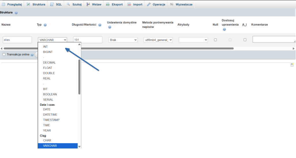 Zrzut ekranu z dokumentacji lub panelu pokazujący typy danych INT oraz BIGINT.
