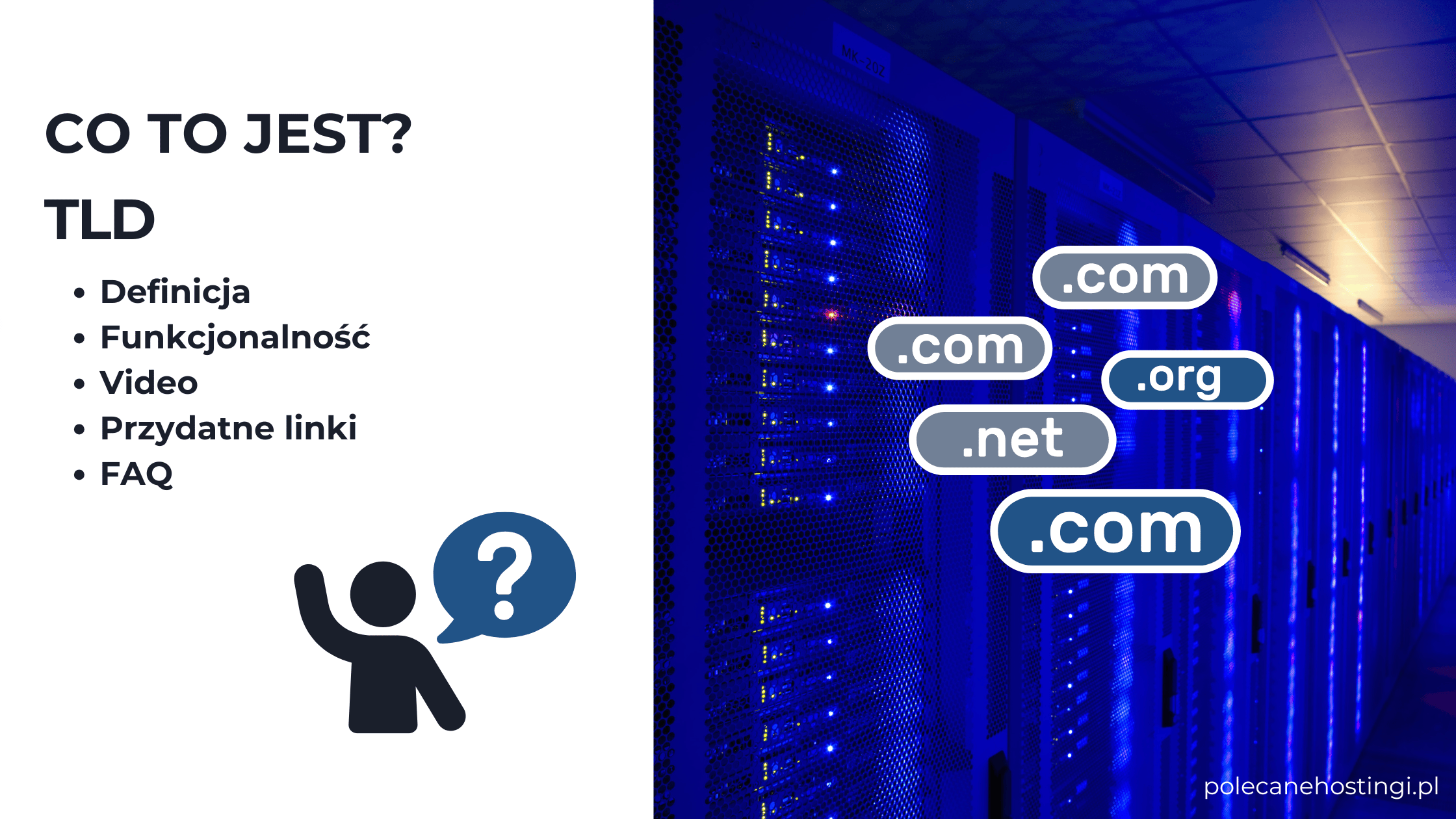 TLD – domena najwyższego poziomu w adresie internetowym