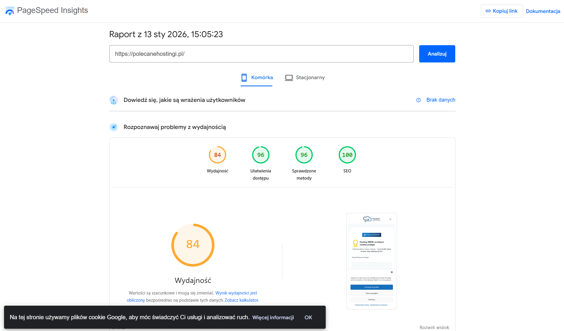 Wynik ogólny wydajności strony polecanehostingi.pl w narzędziu Google PageSpeed Insights.