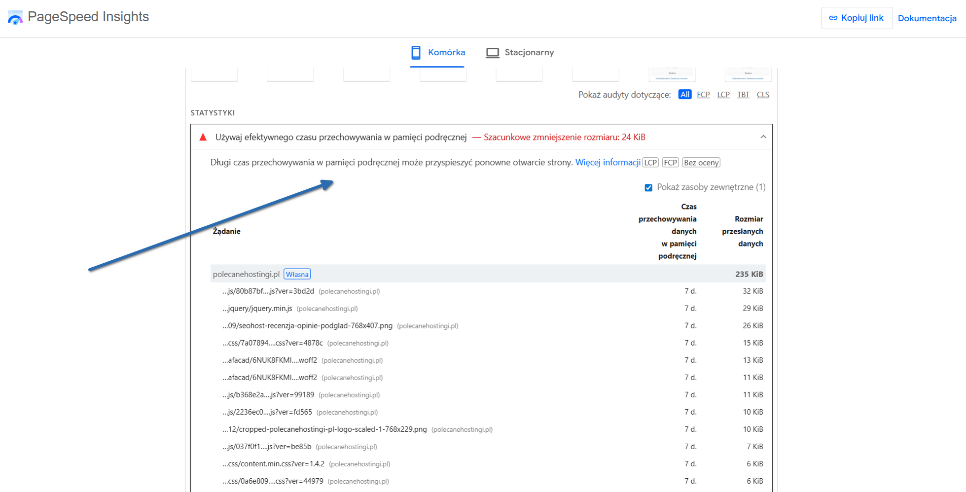 Raport wydajności strony internetowej w narzędziu PageSpeed Insights pokazujący propozycje optymalizacji cache.