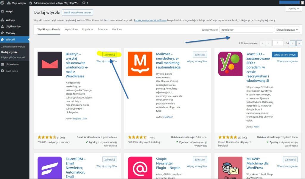 Wyniki wyszukiwania wtyczek do newslettera w kokpicie WordPress.